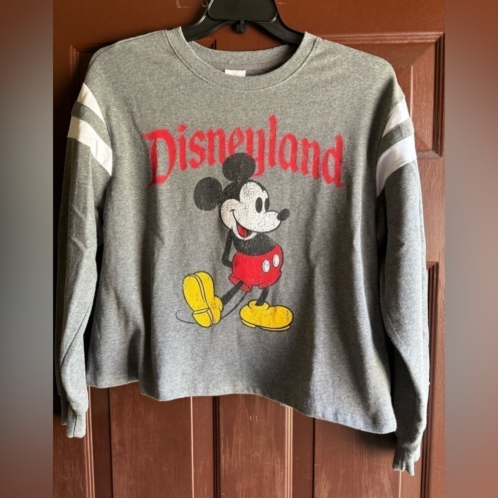 DISNEY Park Mickey Mouse ragland sweatshirt